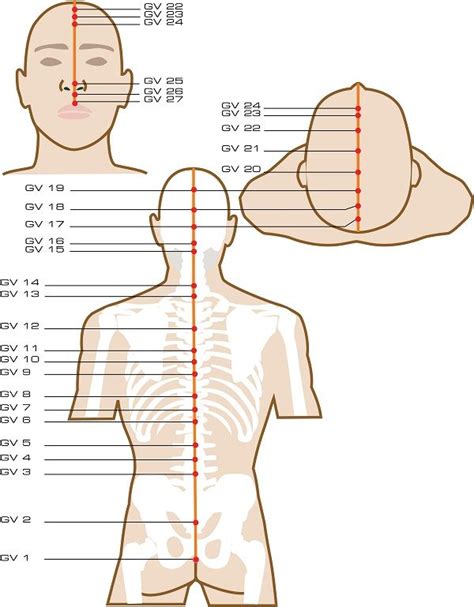 View All Acupuncture Meridian Points Acupuncture Points Acupressure Therapy Acupressure