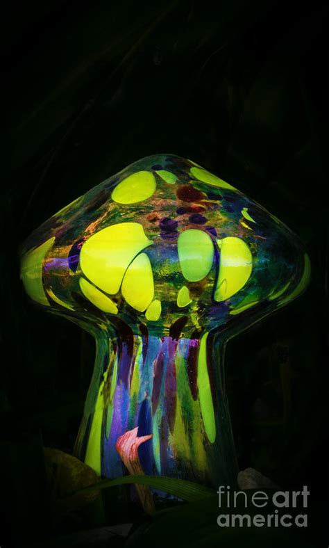Psychedelic Mushroom Photograph By Mitch Shindelbower Fine Art America