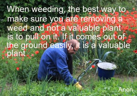 when weeding the best way to make sure garden pics and tips growing in the garden