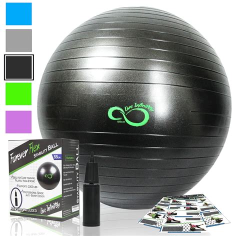 Exercise Ball Professional Grade Exercise Equipment Anti Burst Tested With Hand Pump Supports