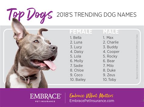 150 french names for your dog. Top Dogs: The Most Popular Dog Names of 2018