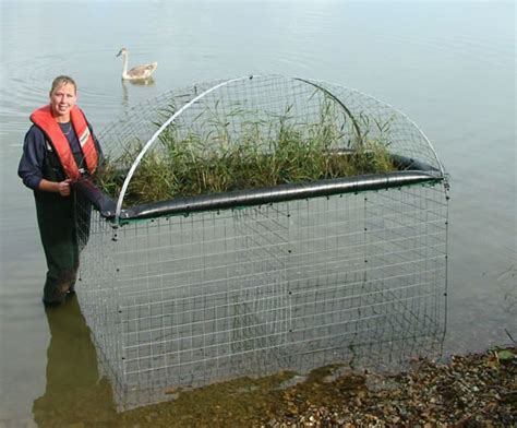 Floating Reedbeds Aquaticengineering Esi Enviropro