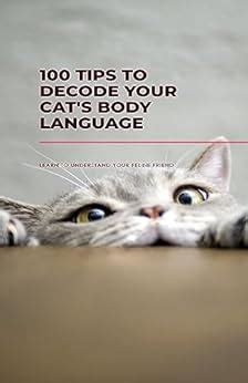 Tips On How To Decode Your Cat S Body Language Ebook Benamar