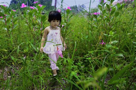Free Images Forest Grass Walking Girl Lawn Meadow