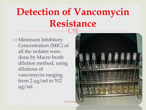Ppt Vancomycin Resistant Enterococci Powerpoint Presentation Free Download Id 2059274