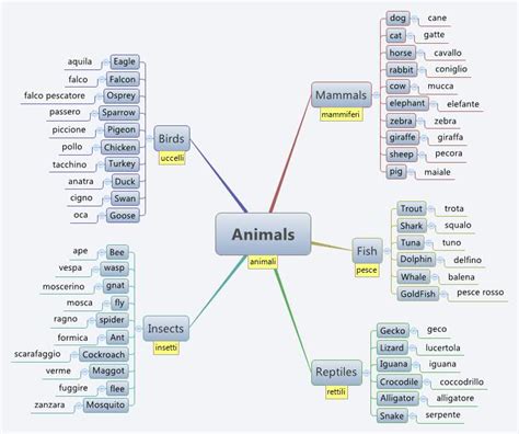 Animals Xmind Mind Mapping Software