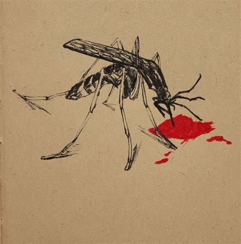Drawing Of Mosquito Mosquito Drawing Drawings Sketches