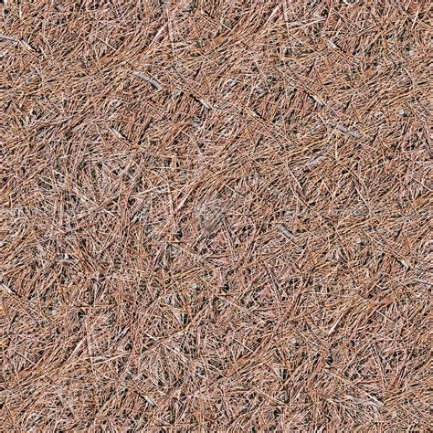 Dry Grass Textures Seamless