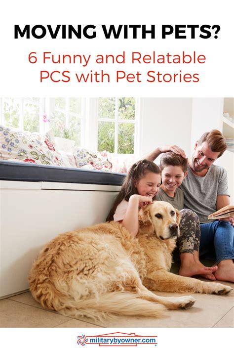 Are You Moving With Pets Pcs Move Pet Stories Are Funny Scary And Relatable Learn How To