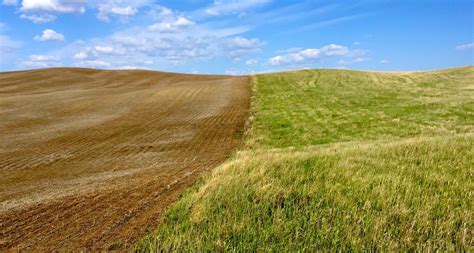 More Money Fewer Grasslands Corn Ethanol’s Impact On Rural America