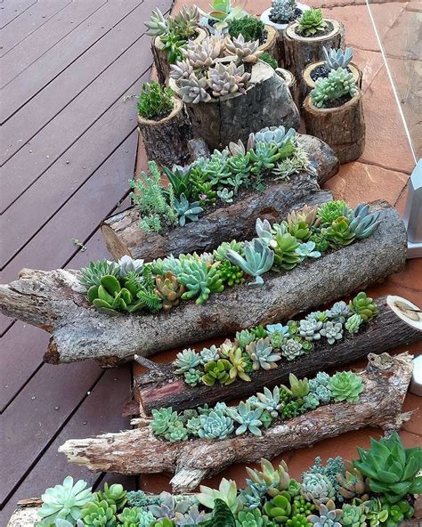 31 Beautiful Outdoor Succulent Planter Ideas Magzhouse