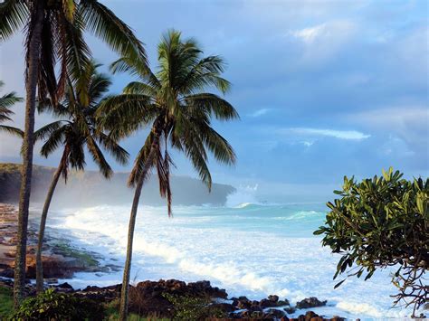 Free Download Hawaiian Island 4k Hd Desktop Wallpaper For 4k Ultra Hd