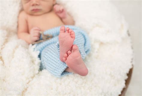 Newborn Baby Feet Stock Image Image Of Blanket Parenting 67967929