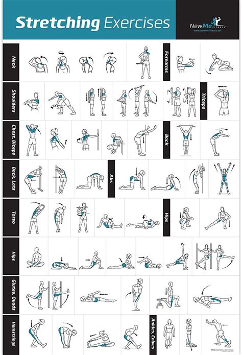 Stretching Exercise Poster Laminated Shows How To