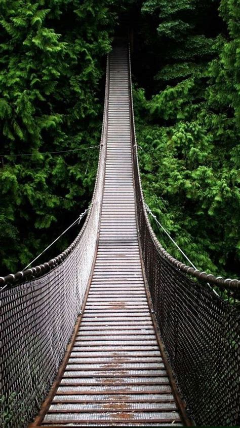 Nature Long Suspension Bridge Over Forest Iphone 8 Wallpapers Free Download