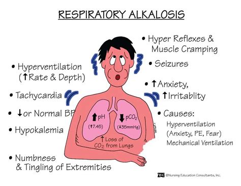 Respiratory Alkalosis Risk Factors Hyperventilation Hypoxemia Altitude