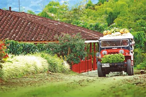 Donde Est Ubicado El Eje Cafetero En Colombia Turismo Quindio