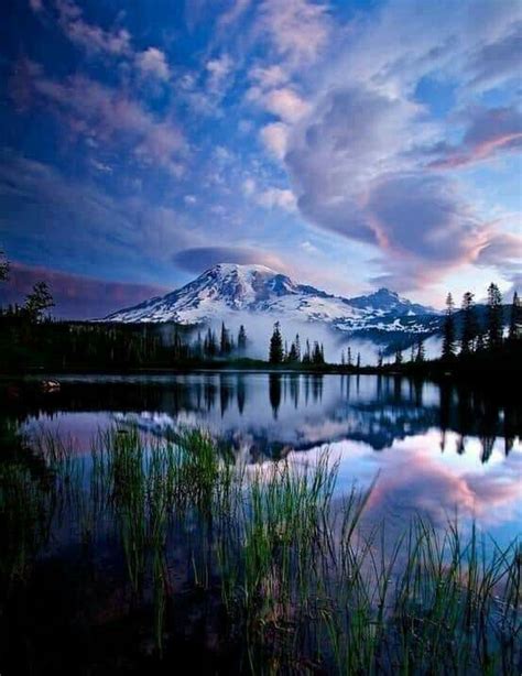 Pin By Patricia Lake On Photos Wonders Of The World Rainier National