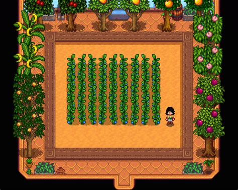Top 11 Best Fruit Crops In Stardew Valley 2023 - Stardew | Guide