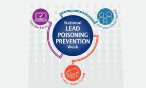 International Lead Poisoning Prevention Week Geneva Environment Network