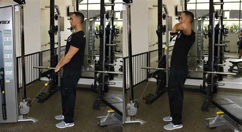 Upright Cable Row The Optimal You Online Personal Training