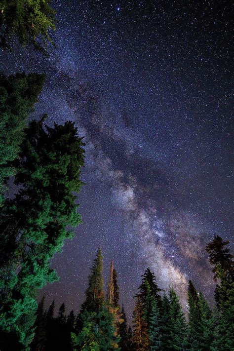 Milky Way Yosemite National Park Photograph By Nestor Rodan