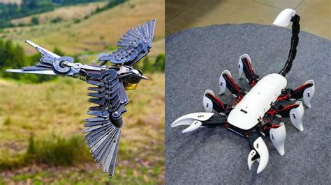 5 Amazing Robotic Animals Invention Flying Robot Bird And Insect Youtube