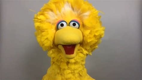 Big Bird Talks About His Guests On Sesame Street And Life During The Pandemic In New Special