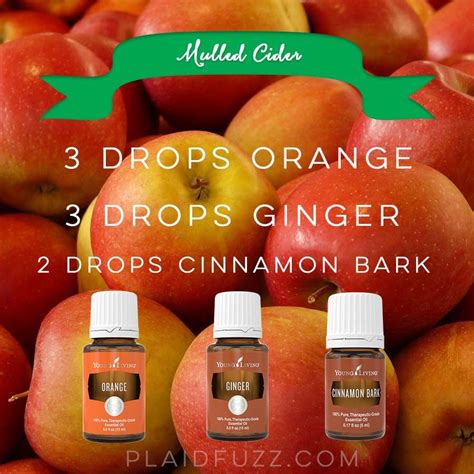 fall essential oil diffuser recipes the house of plaidfuzz fall essential oils oil diffuser