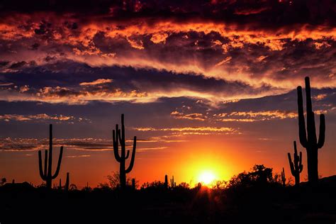 Colorful Silhouette Sunset Skies Of Arizona Photograph By Saija