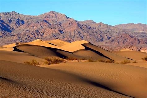 8 Most Captivating Sand Dunes Around The World 2023 Wow Travel