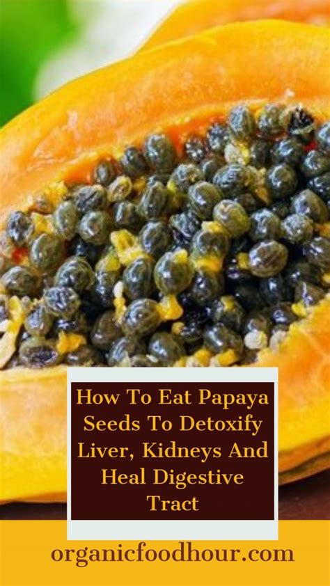 How To Eat Papaya Seeds To Detoxify Liver Kidneys And Heal Digestive