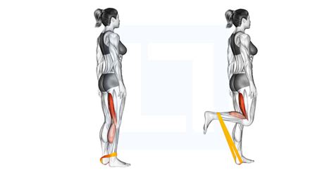 Resistance Band Leg Curl Guide Benefits And Form