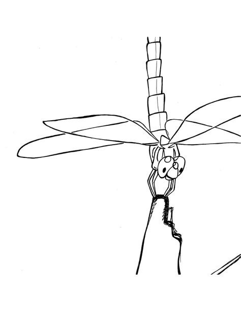 She is always hungry and tireless. Free Printable Dragonfly Coloring Pages For Kids | Animal ...