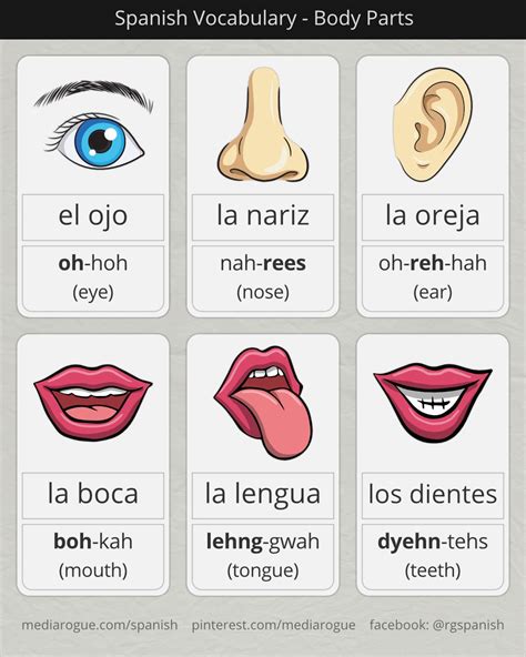 Spanish Body Part Words Spanish Words For Kids Learning Spanish For