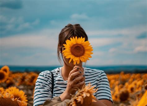 Woman Holding Sunflower Over Her Face Pictures Photos And Images For