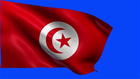 Tunisian Republic Flag Of Tunisia Seamless Loop Stock Footage Video