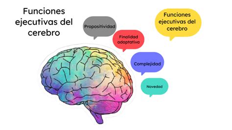 Funciones Ejecutivas Del Cerebro By Karoll Motta On Prezi