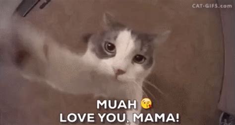 10+ new beautiful good night quotes / gifs. Happy Mothers Day GIF - Find & Share on GIPHY