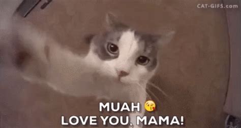 Download most popular gifs on gifer. Happy Mothers Day GIF - Find & Share on GIPHY