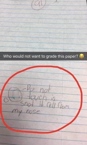 50 Exam Answers That Prove Students Are Hilariously Clever Student