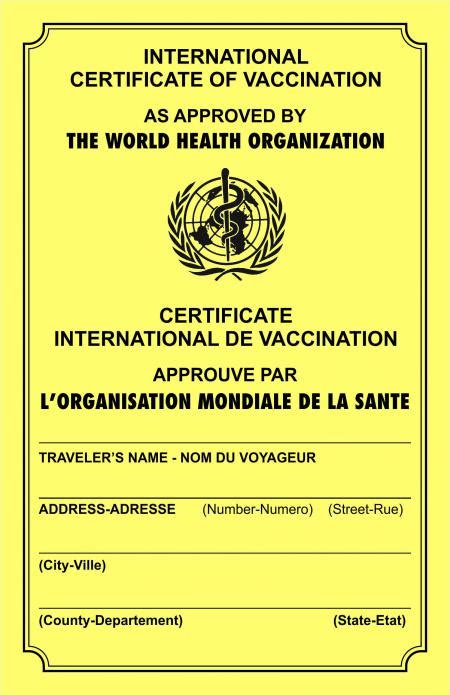 Yellow fever vaccine may be required for entry into certain countries. Fake Yellow Fever Vaccine Certificates Pose Risk to Whole Indian Population | Health | RESET.org