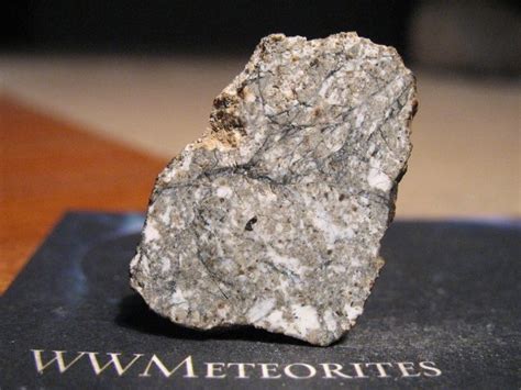 Dhofar 007 Eucrite Cumulate Full Slice Achondrite Meteorite 25×