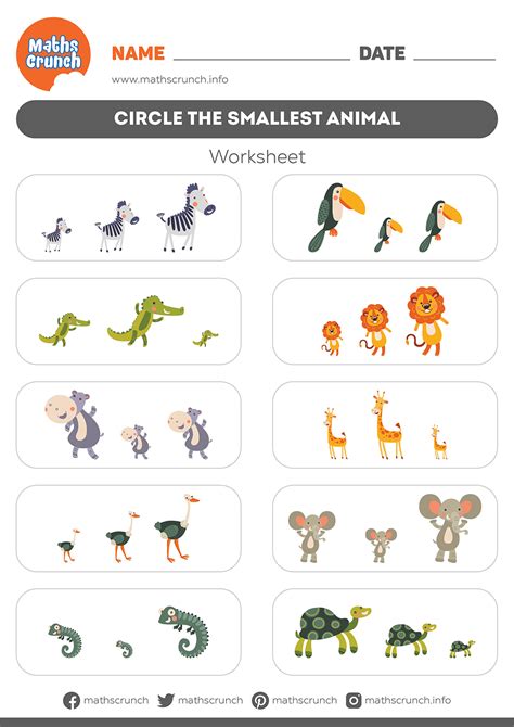 Circle The Smallest Animal Kindergarten Worksheet For Kids Maths Crunch