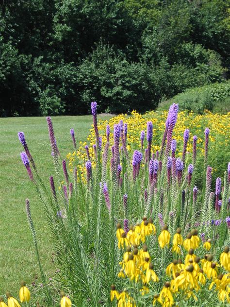 How To Design A Native Plant Garden Dyck Arboretum