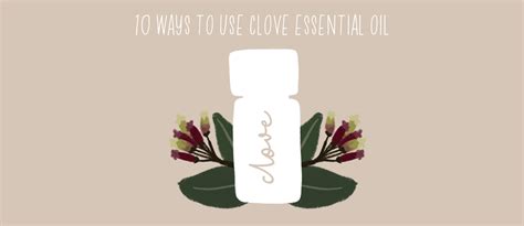 10 Ways To Use Clove Essential Oil By Lindsey Elmore Pharmd Bcps