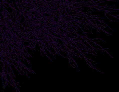 Dark Purple Background Purple Abstract Backgrounds Wallpaper Cave