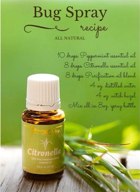 Mosquito Repellent Essential Oils Essential Oil Bug Spray Citronella