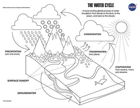 Water Cycle Coloring Sheet