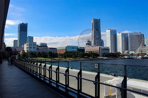 5 Things To Do At Yokohama Hammerhead Yokohama Official Visitors